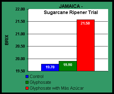 Chart JAMAICA - Sugarcane Ripener Trial